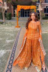 ORANGE 3 PIECE STITCHED SHARARA SUIT